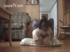 During a beastiality fuck session, a sinful, lustful white lady wearing dark nylons pulls her puppy between her legs.